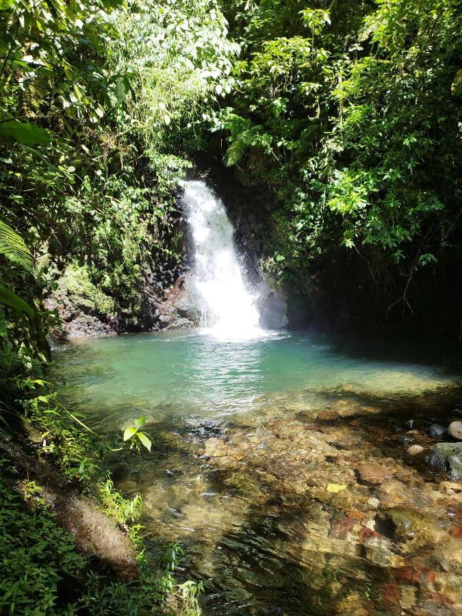 Pozas Y Cascadas La Presa Río Cuarto 외부 사진